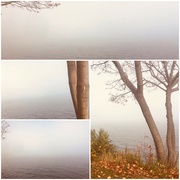 18th Nov 2022 - Pics foggy by  water 10225857288933227_584377296049811537_n