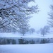First Snow by lynnz