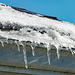 Growing icicles by larrysphotos