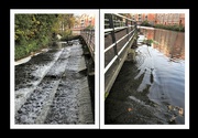 10th Nov 2022 - Nottingham Beeston Canal