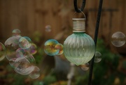 18th Nov 2022 - Bubbles