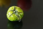19th Nov 2022 - Green tomato