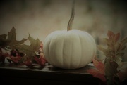 10th Nov 2022 - Day 314: Little Pumpkin