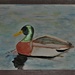 Day 320: Mallard Duck  by jeanniec57