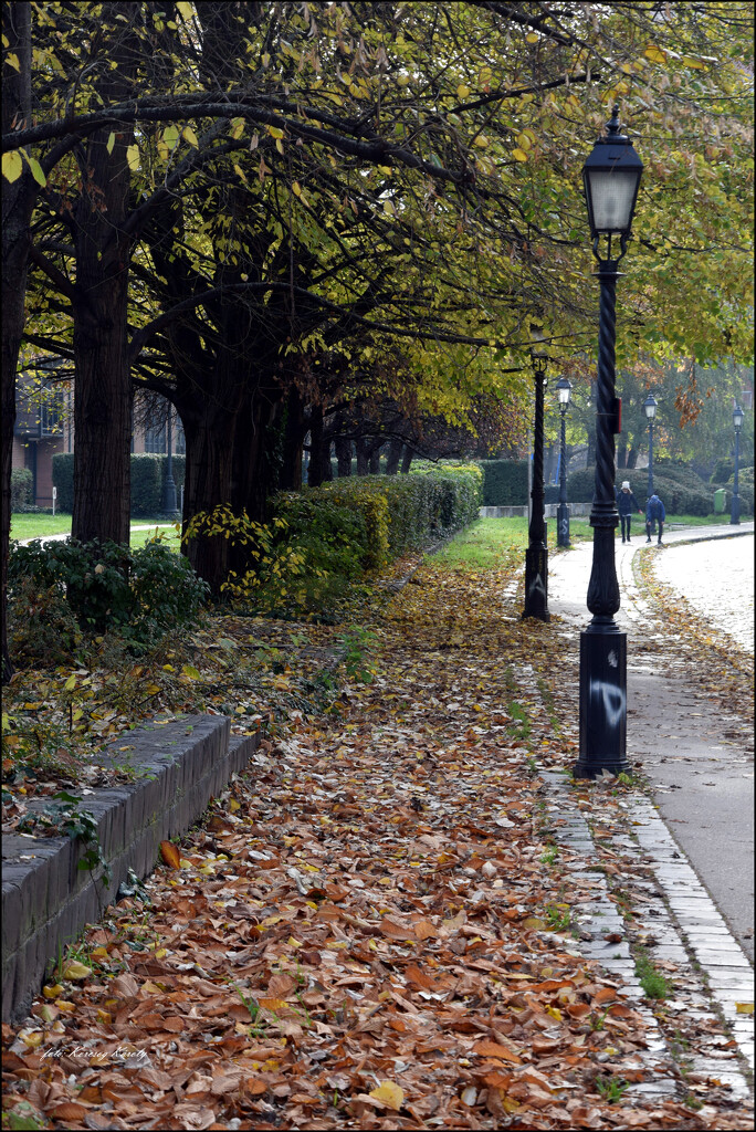 Do street sweepers like autumn? 🙄 by kork