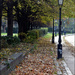 Do street sweepers like autumn? 🙄 by kork