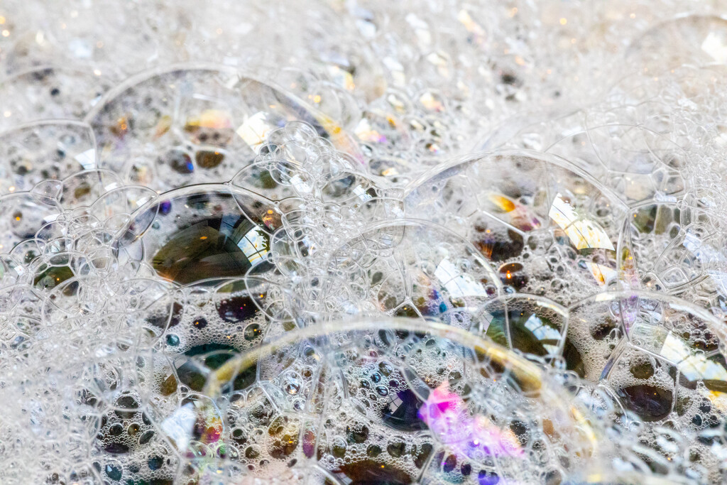 Bubbles by carole_sandford