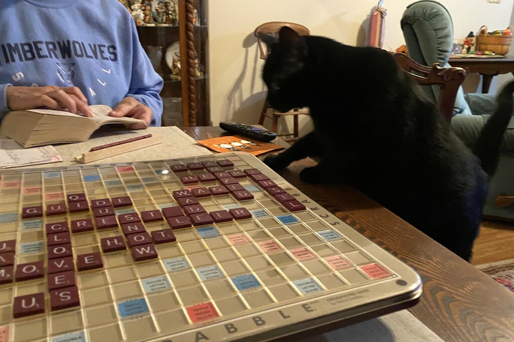 A third player for our Scrabble game by tunia