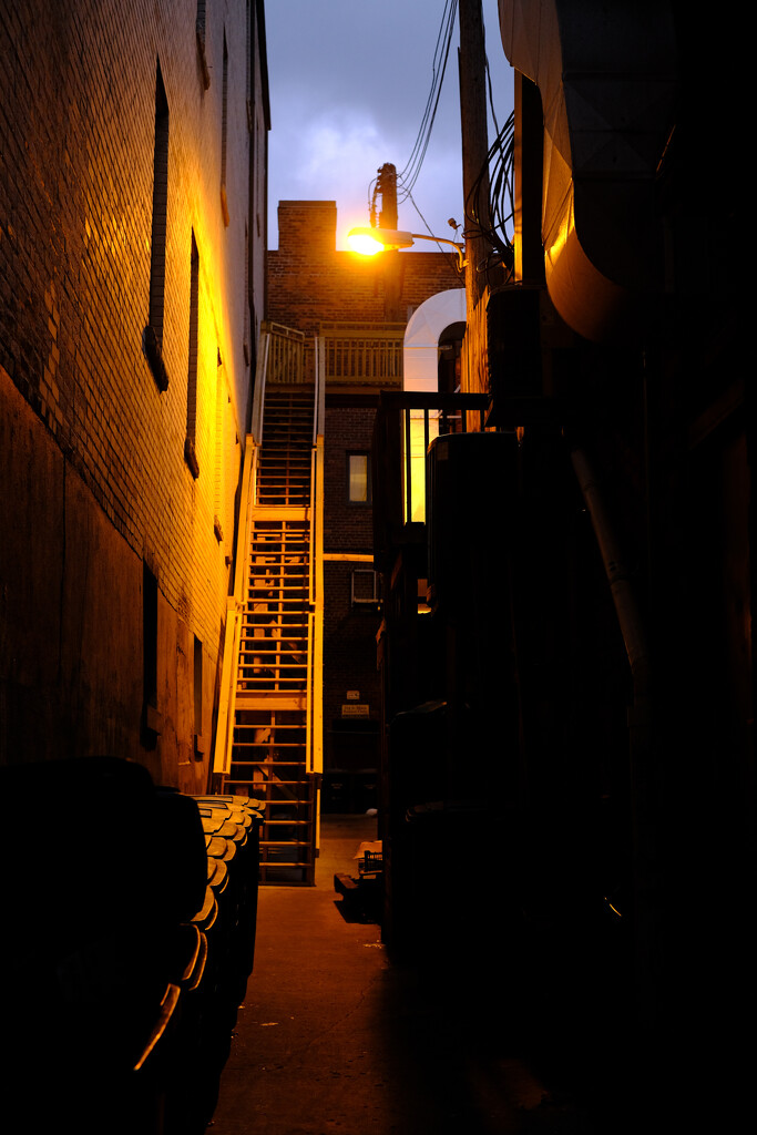Ann Arbor Alley by johnmaguire