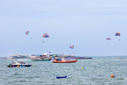20th Nov 2022 - Pattaya Bay - Paragliders