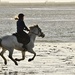 Gallop on the sand by wakelys