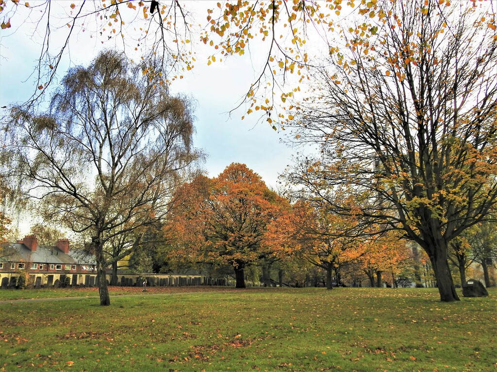 Autumn Victoria Park Nottingham by oldjosh