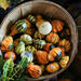 Pumpkins by judyc57