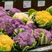 Colourful Cauliflower by hjbenson