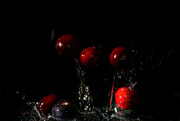 20th Nov 2022 - Dancing Cranberries and a blueberry