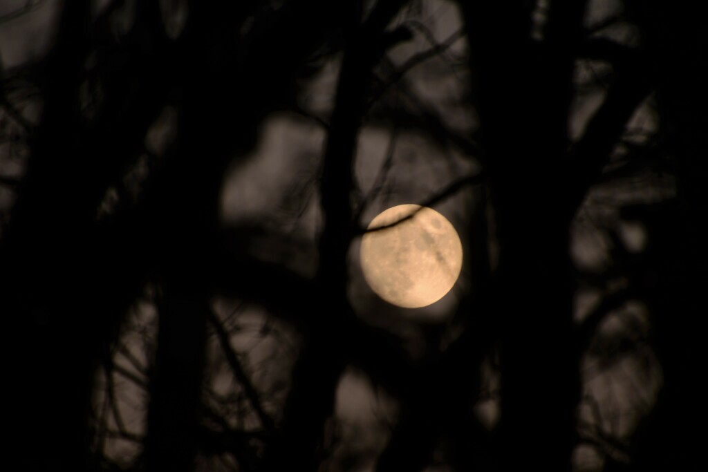 Moon Glimpse by kareenking
