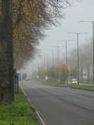 14th Nov 2022 - Mist on the Ring Road