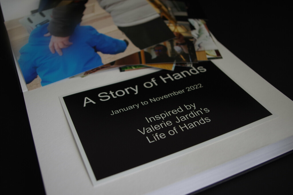 A Year  of Hands by 30pics4jackiesdiamond