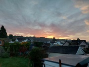 15th Nov 2022 - Sunrise over the back garden 