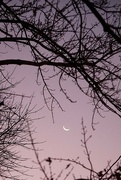 21st Nov 2022 - Early morning moon