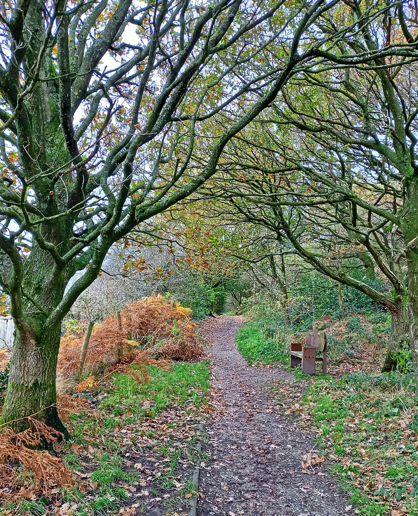 Carwood Lane Footpath - autumn version by marianj