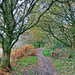 Carwood Lane Footpath - autumn version by marianj