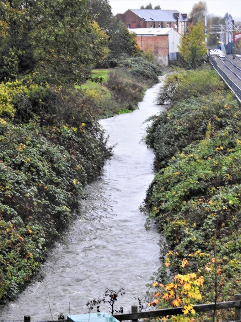 River Leen, Basford by oldjosh