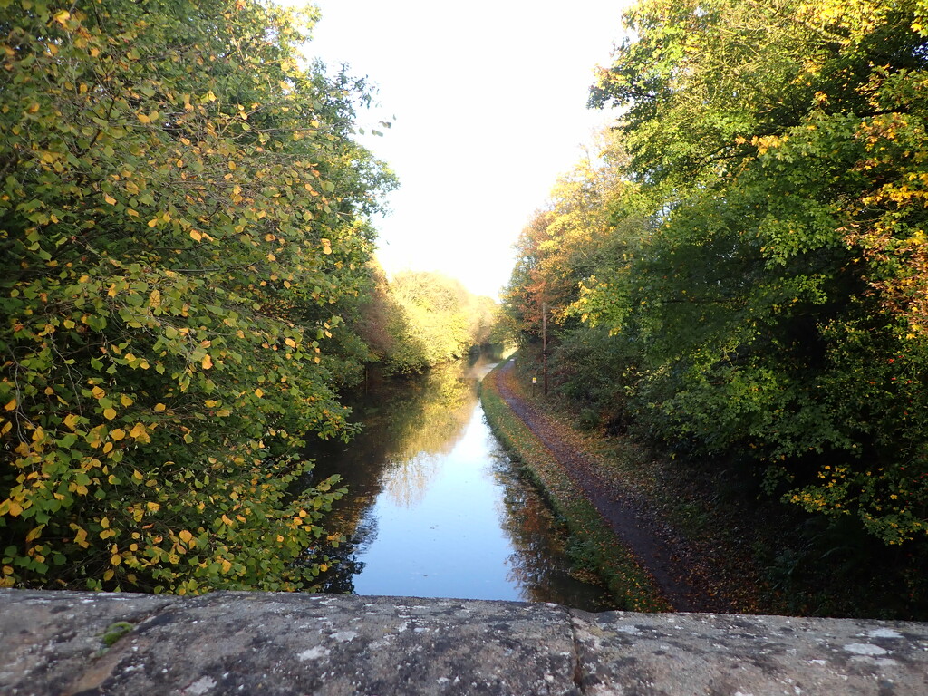 Late Sunday afternoon sunshine at the canal by speedwell