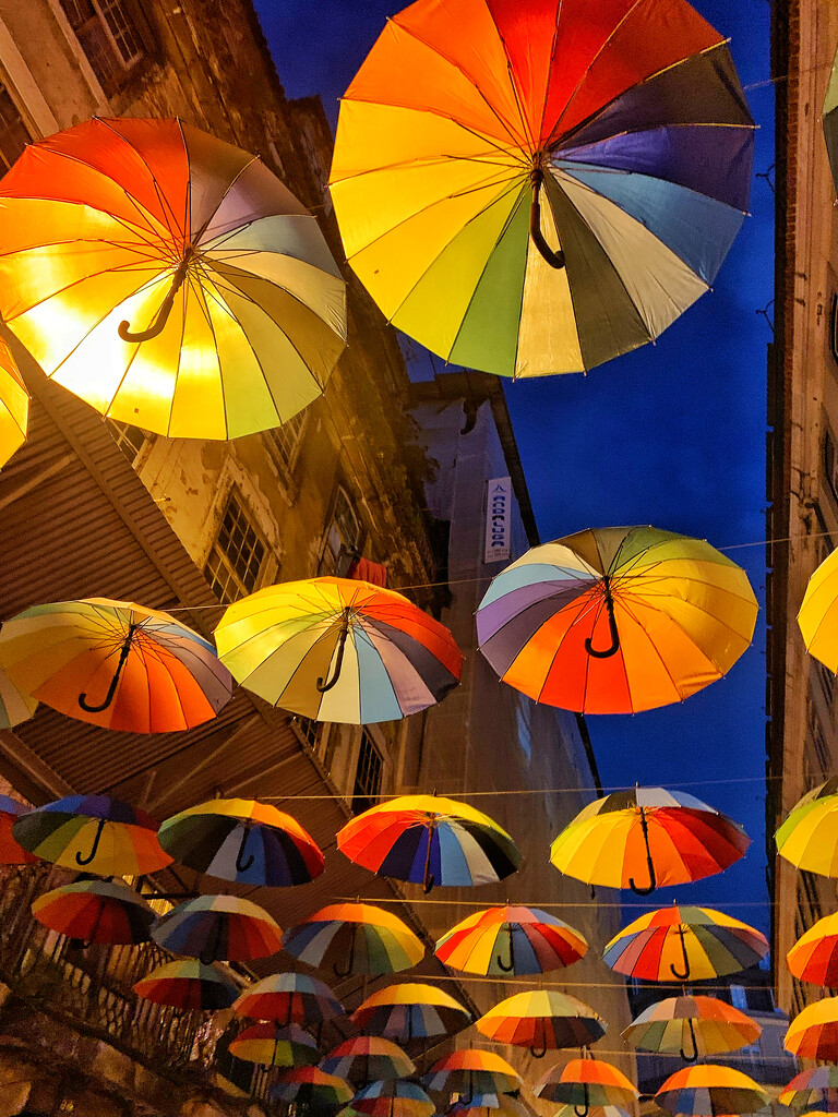 Umbrellas.  by cocobella