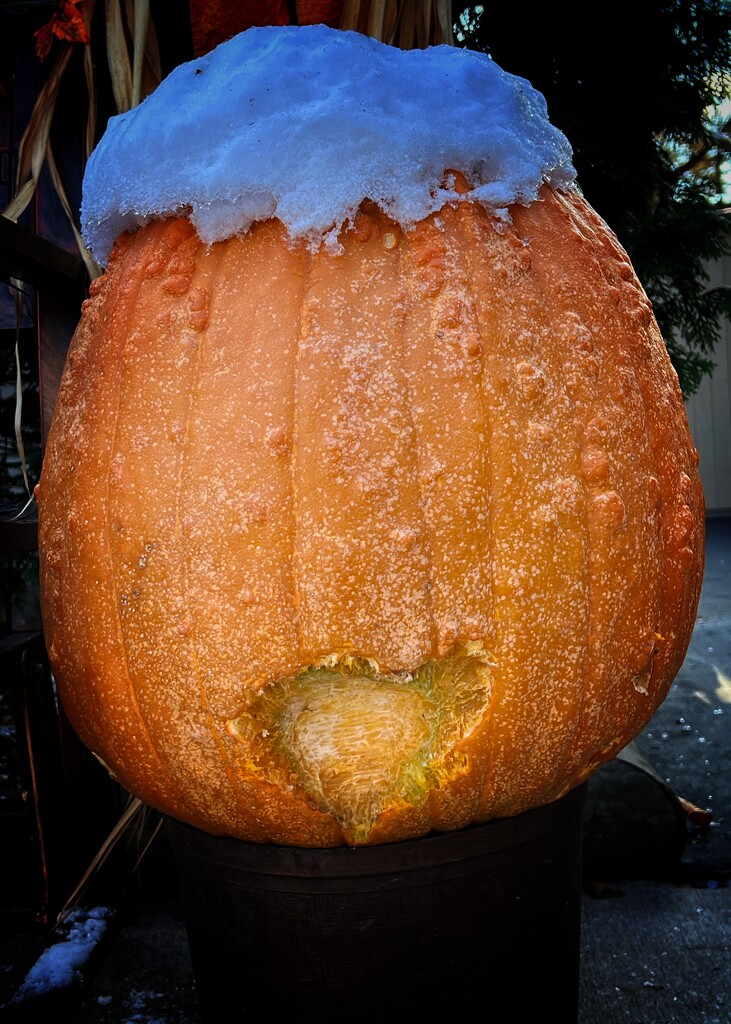 pumpkin heart by amyk