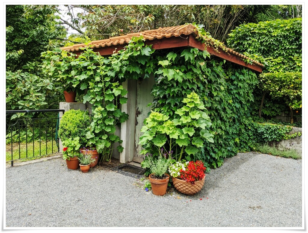 Dream garden shed by sandradavies