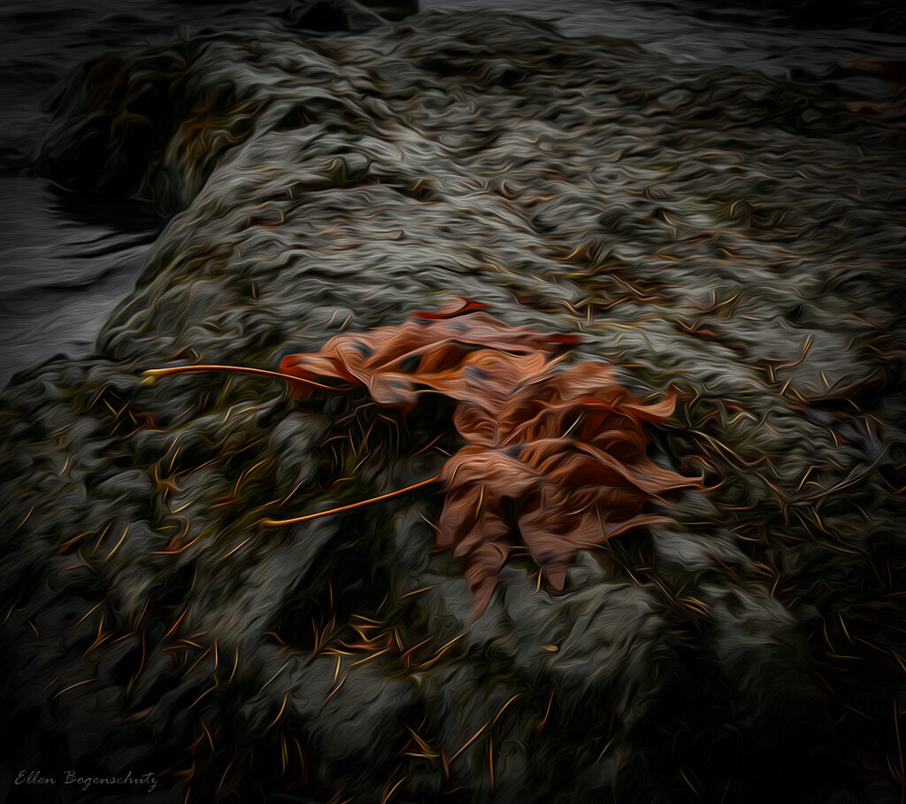Painterly Leaves on rocks by theredcamera