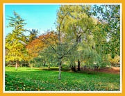 23rd Nov 2022 - Autumn In The Park