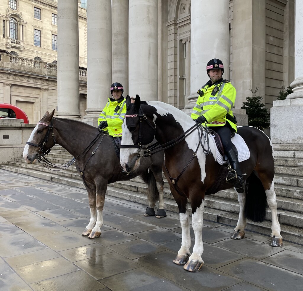 Police on horseback  by jeremyccc