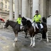 Police on horseback  by jeremyccc