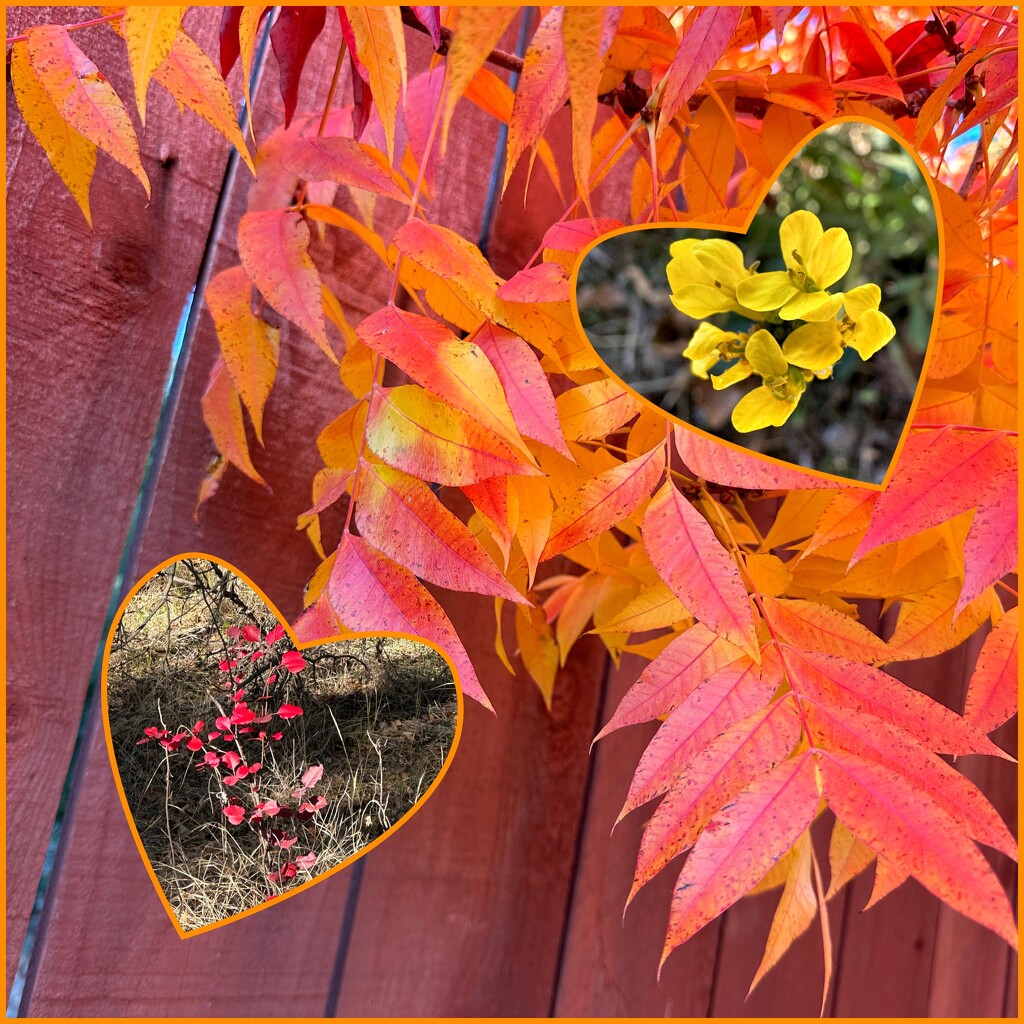 Autumn Color and Hearts by shutterbug49