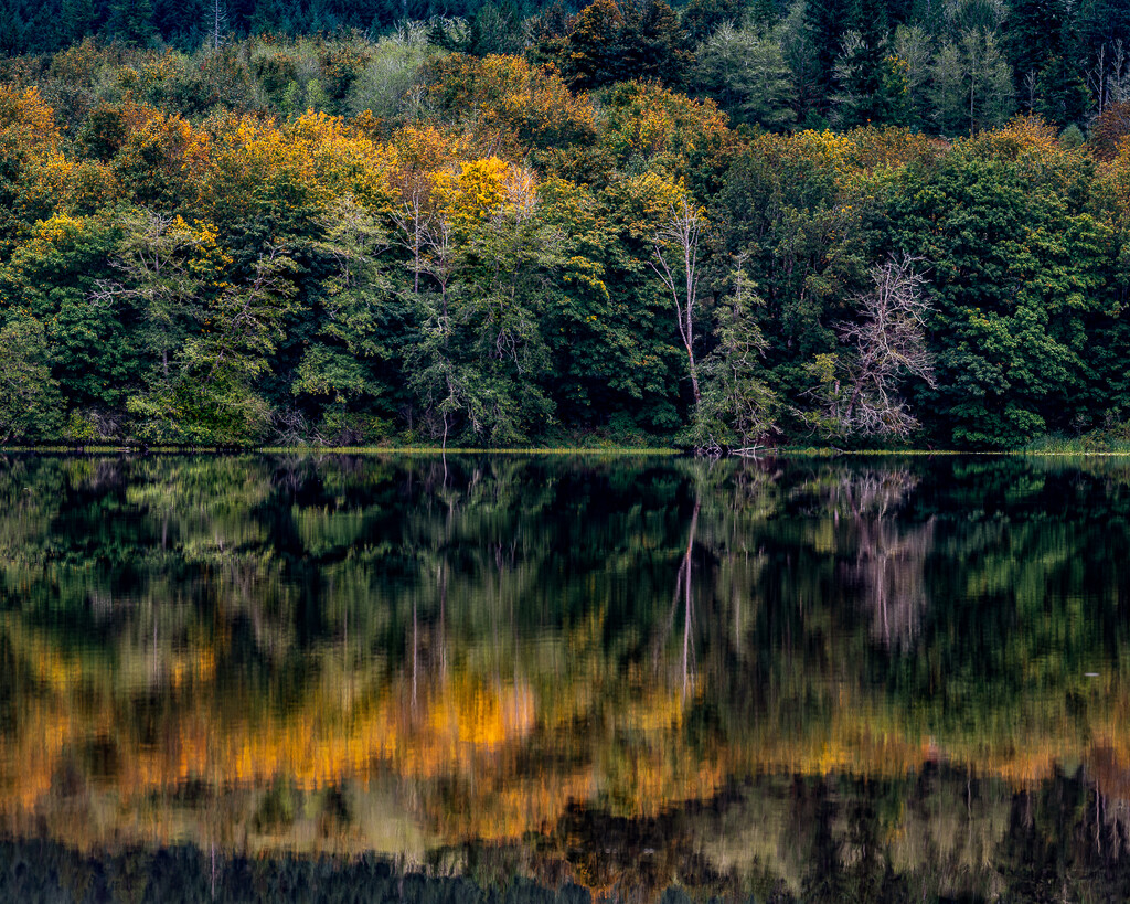 Crocker lake reflection by theredcamera