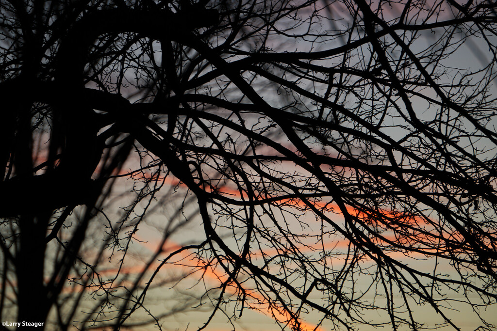 Sunset through the trees by larrysphotos