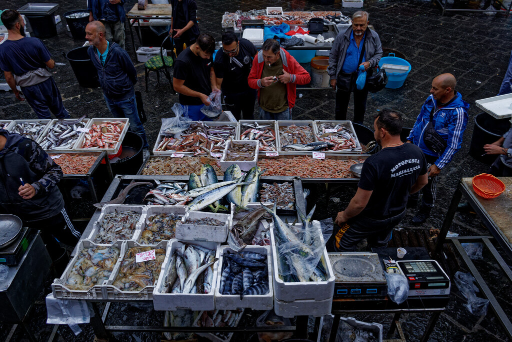 1124 - Catania Fish Market by bob65