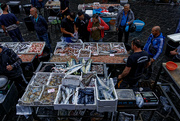 24th Nov 2022 - 1124 - Catania Fish Market