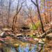 Pine Log Creek by kvphoto
