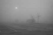 24th Nov 2022 - In Thick Fog...