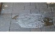 24th Nov 2022 - Raindrops in a puddle