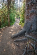 31st Aug 2022 - Parker Ridge Trail