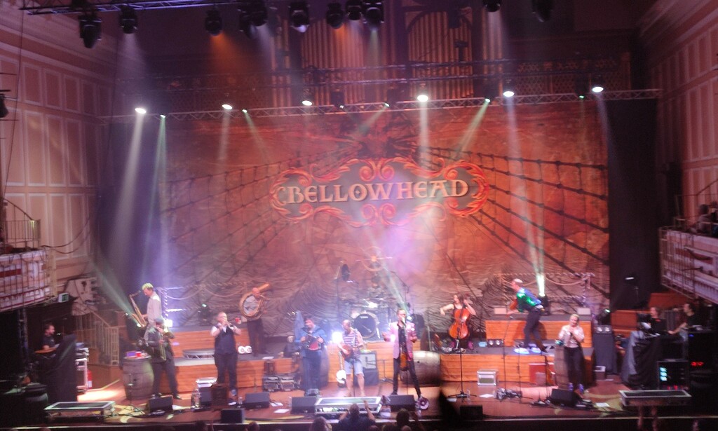 Bouncing Bellowhead  by countrylassie