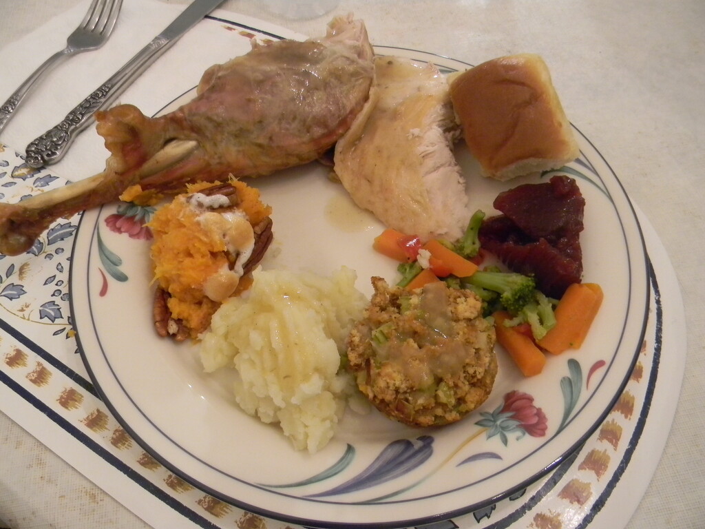 Thanksgiving Meal on Plate by sfeldphotos