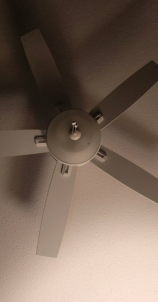 Ceiling fan  by randystreat