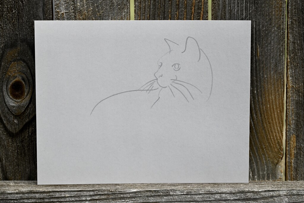 Gesture Sketch of a cat in a fence by metzpah