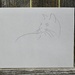 Gesture Sketch of a cat in a fence