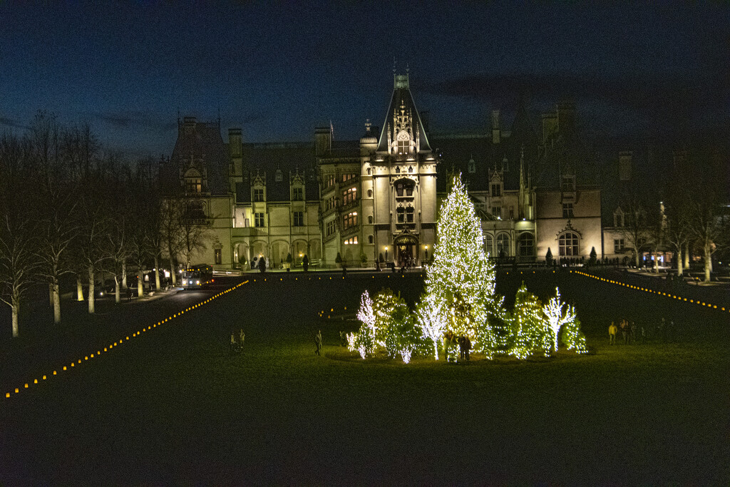 The Biltmore At Christmas by cwbill